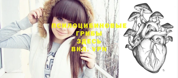 ПСИЛОЦИБИНОВЫЕ ГРИБЫ Дмитриев