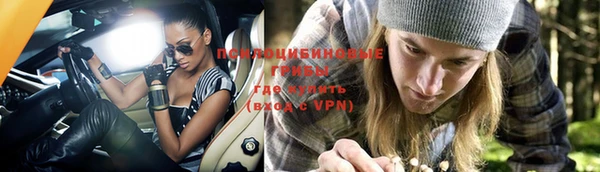 ПСИЛОЦИБИНОВЫЕ ГРИБЫ Дмитриев