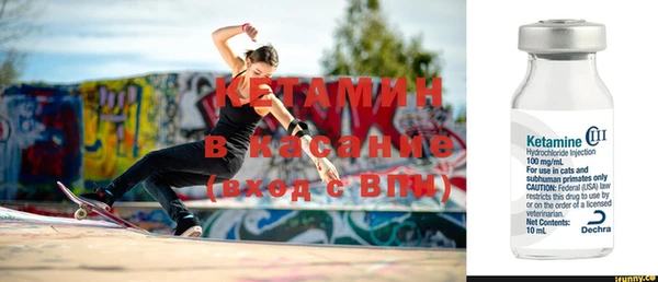 ПСИЛОЦИБИНОВЫЕ ГРИБЫ Дмитриев