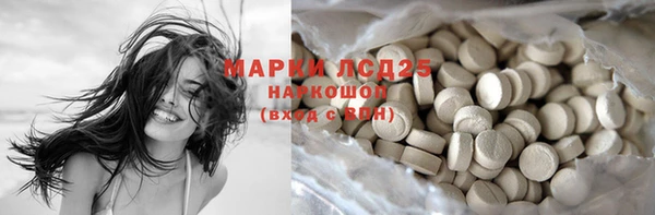 apvp Дмитров