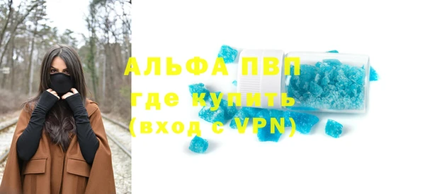 ПСИЛОЦИБИНОВЫЕ ГРИБЫ Дмитриев