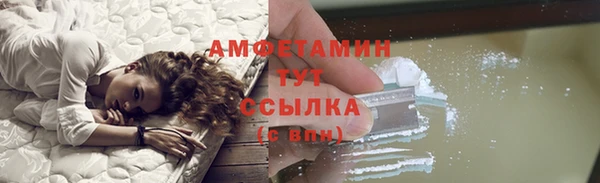 ПСИЛОЦИБИНОВЫЕ ГРИБЫ Дмитриев