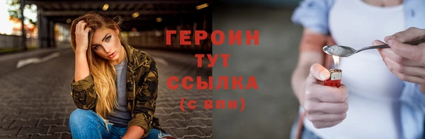 ПСИЛОЦИБИНОВЫЕ ГРИБЫ Дмитриев