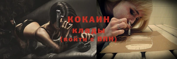 ПСИЛОЦИБИНОВЫЕ ГРИБЫ Дмитриев
