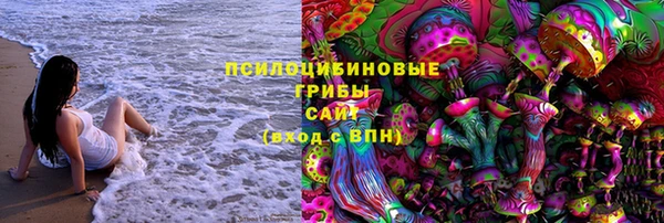 apvp Дмитров