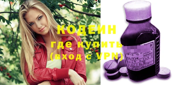 ГАЛЛЮЦИНОГЕННЫЕ ГРИБЫ Ельня