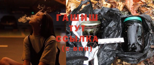ПСИЛОЦИБИНОВЫЕ ГРИБЫ Дмитриев