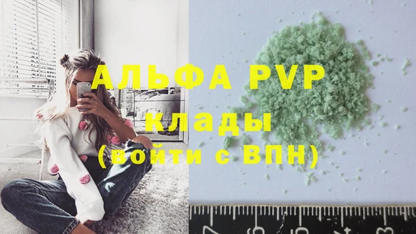 ПСИЛОЦИБИНОВЫЕ ГРИБЫ Дмитриев