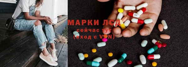 apvp Дмитров