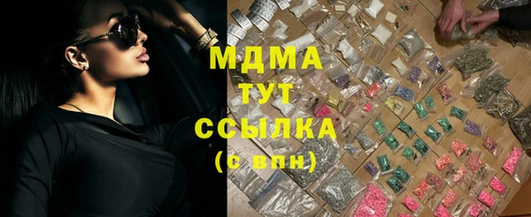ПСИЛОЦИБИНОВЫЕ ГРИБЫ Дмитриев