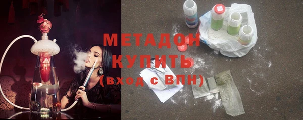 ПСИЛОЦИБИНОВЫЕ ГРИБЫ Дмитриев