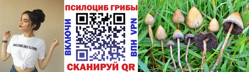 Купить закладки  Городец  Псилоцибиновые грибы ЛСД 